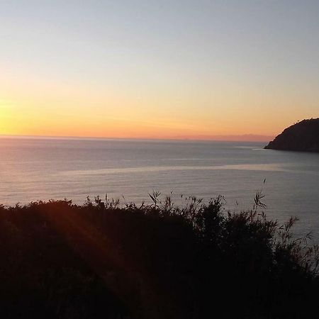 Un Gioiello Con Vista Mare Villa Moneglia Bagian luar foto