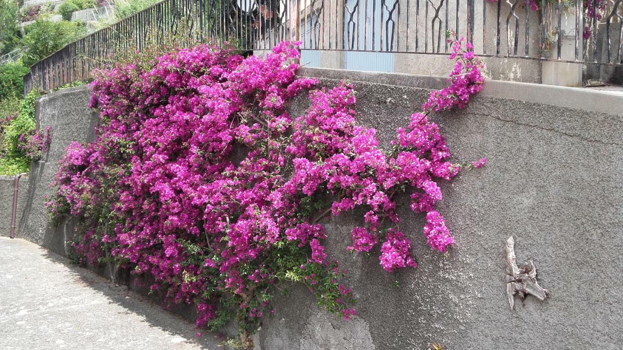 Un Gioiello Con Vista Mare Villa Moneglia Bagian luar foto
